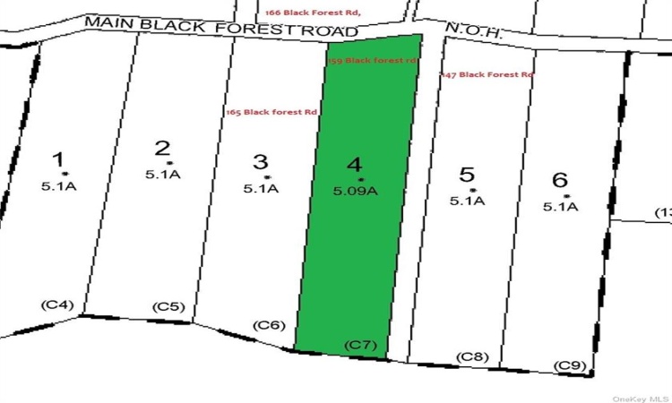 163 Black Forest Road, Lumberland, NY, ,Land,For Sale,163 Black Forest,H6264075