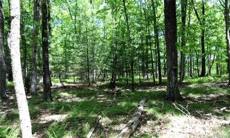 Barbara Drive, Delaware, NY, ,Land,For Sale,Barbara,H6280499