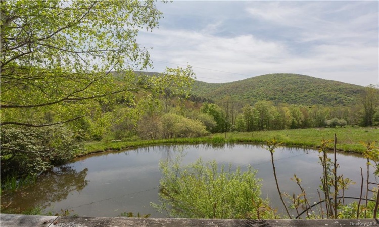 12 Armstrong Road, Hardenburgh, NY, 7 Bedrooms Bedrooms, 18 Rooms Rooms,3 BathroomsBathrooms,Residential,For Sale,Armstrong,H6252793