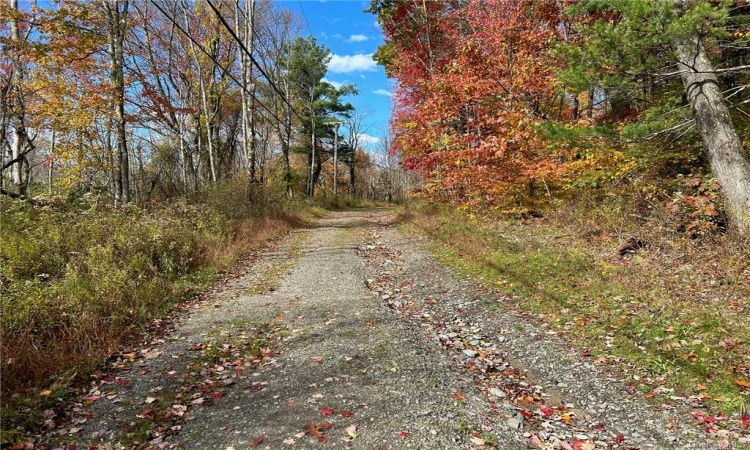 2 Hill Road, Austerlitz, NY, ,Land,For Sale,Hill,H6280948