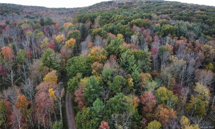 1 Hill Road, Austerlitz, NY, ,Land,For Sale,Hill,H6280940