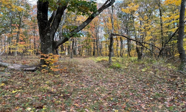 1 Hill Road, Austerlitz, NY, ,Land,For Sale,Hill,H6280940