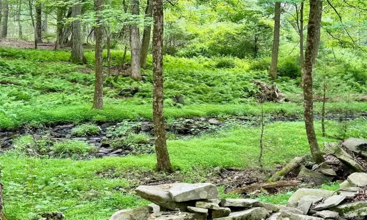 View of local wilderness featuring a water view