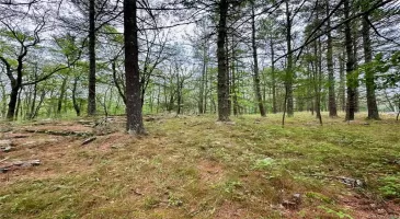 Baran Drive, Lumberland, NY, ,Land,For Sale,Baran,H6277083