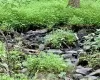 View of nature featuring a water view