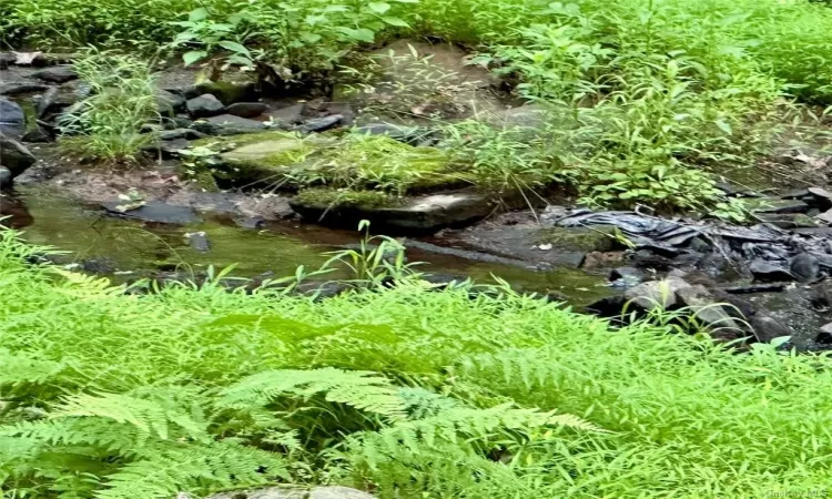 View of mother earth's splendor featuring a water view