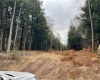 Already tree cleared area for driveway access to most of the property.