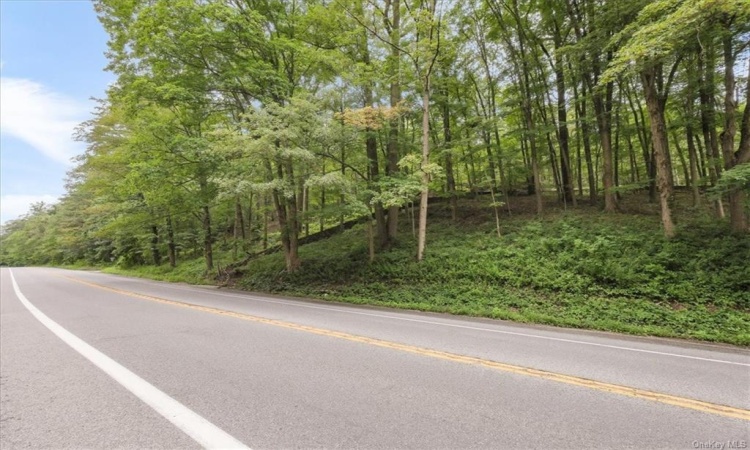 U. S. Route 9 (Albany Post), Philipstown, NY, ,Land,For Sale,U. S. Route 9 (Albany Post),H6263983