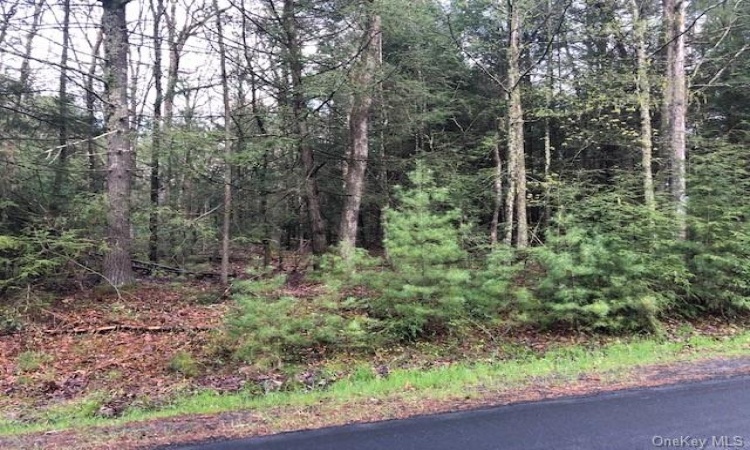 Crawford Road, Highland, NY, ,Land,For Sale,Crawford,H6245252