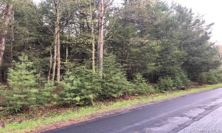 Crawford Road, Highland, NY, ,Land,For Sale,Crawford,H6245252