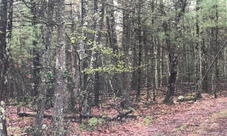 Eldred-Yulan Road, Highland, NY, ,Land,For Sale,Eldred-Yulan,H6245230