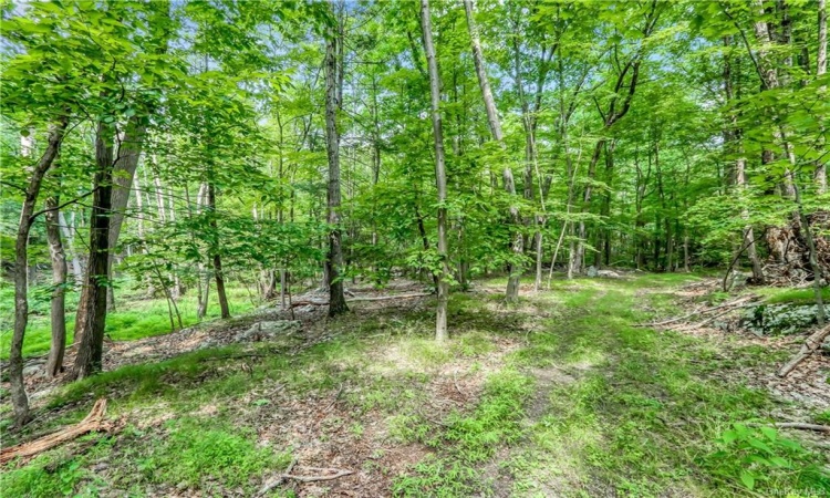 Pine Hill Road, Tuxedo, NY, ,Land,For Sale,Pine Hill,H6134235