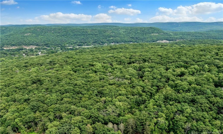 Pine Hill Road, Tuxedo, NY, ,Land,For Sale,Pine Hill,H6134235