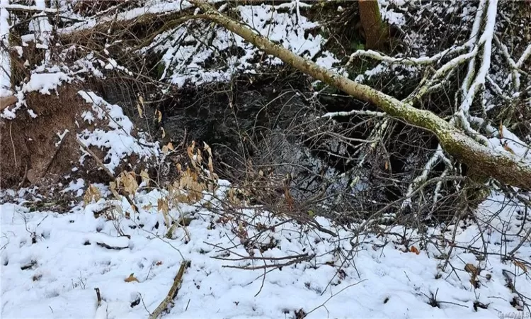 stream at the back of the property