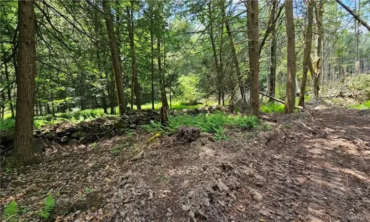 Lot 81.4 County Road 114, Cochecton, NY, ,Land,For Sale,County Road 114,H6282044