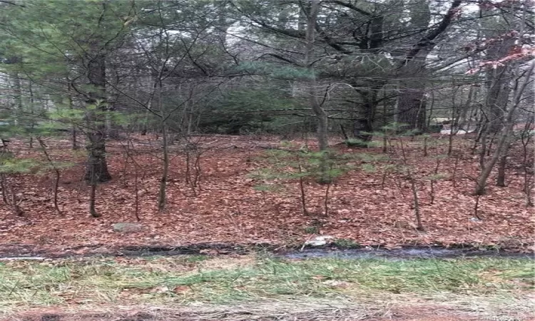 wooded, raw land availble for building a home