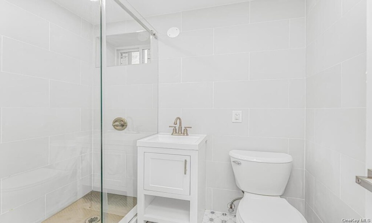 BATHROOM- IN BASEMENT