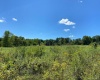 50 Dorsey Lane, Hyde Park, NY, ,Land,For Sale,Dorsey,H6282723