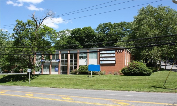 234 Central Avenue, Greenburgh, NY, ,Commercial Lease,For Rent,Central,H6194494