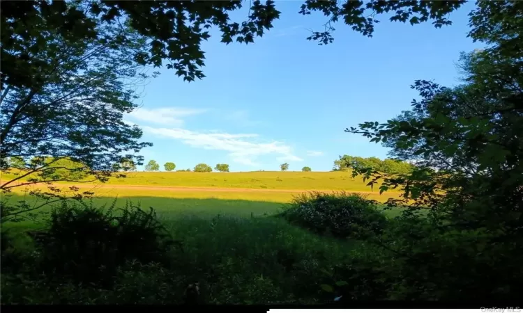 View of local wilderness featuring a rural view