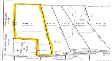 Lot 1 Briscoe Road, Liberty, NY, ,Land,For Sale,Lot 1 Briscoe,H6284597