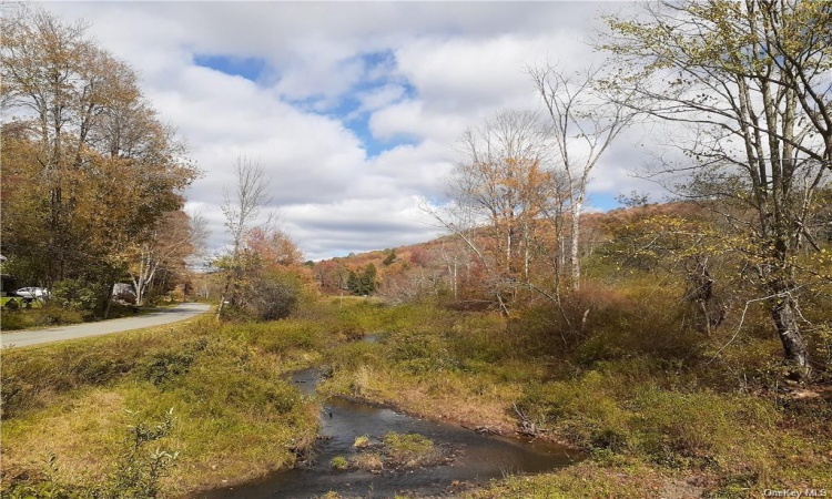 Basket Creek at lower end of property