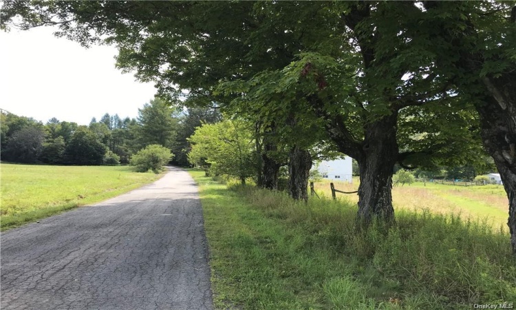 road border view