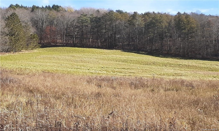 view up the property