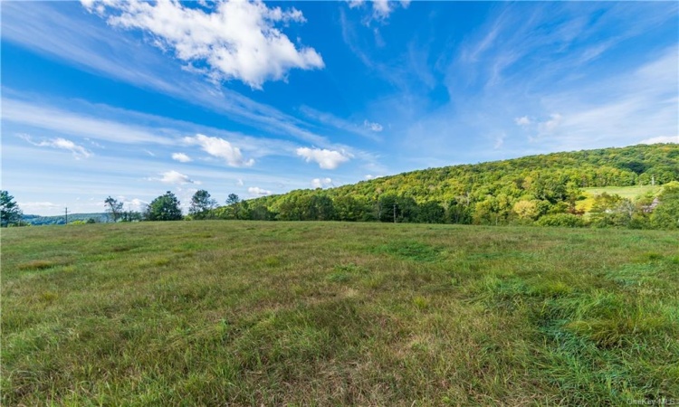 14 Frelich Rd/T R 28, Fremont, NY, ,Land,For Sale,Frelich Rd/T R 28,H6284853