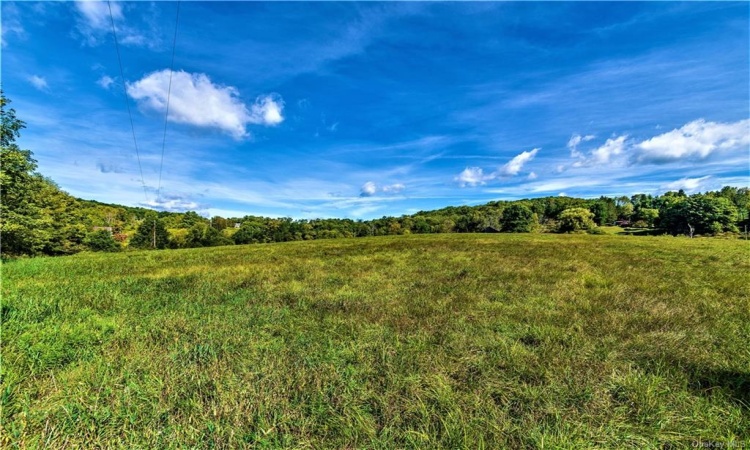 14 Frelich Rd/T R 28, Fremont, NY, ,Land,For Sale,Frelich Rd/T R 28,H6284853