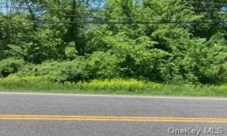 Route 82, Union Vale, NY, ,Land,For Sale,Route 82,H6286554