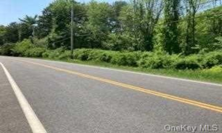 Route 82, Union Vale, NY, ,Land,For Sale,Route 82,H6286554