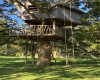 Tree House