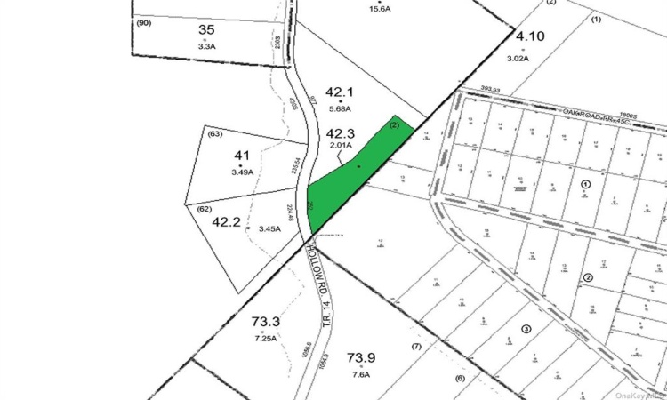 Lot 42.3 Hollow Road, Lumberland, NY, ,Land,For Sale,Hollow,H6285862