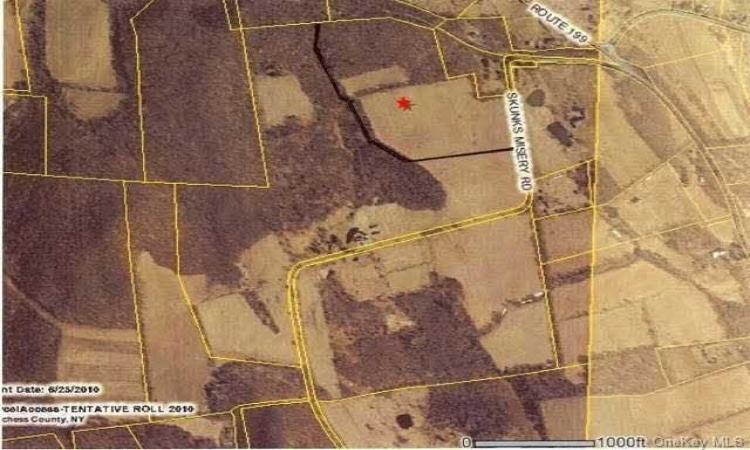 Skunks Misery Road, Pine Plains, NY, ,Land,For Sale,Skunks Misery,HM403150