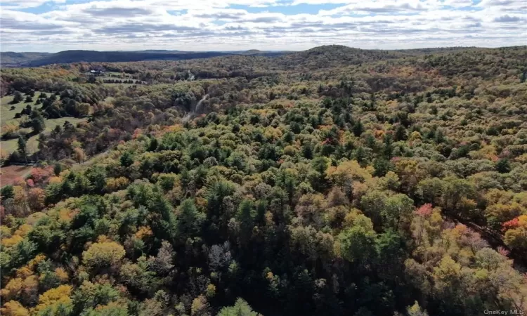 Bird's eye view featuring a mountain view