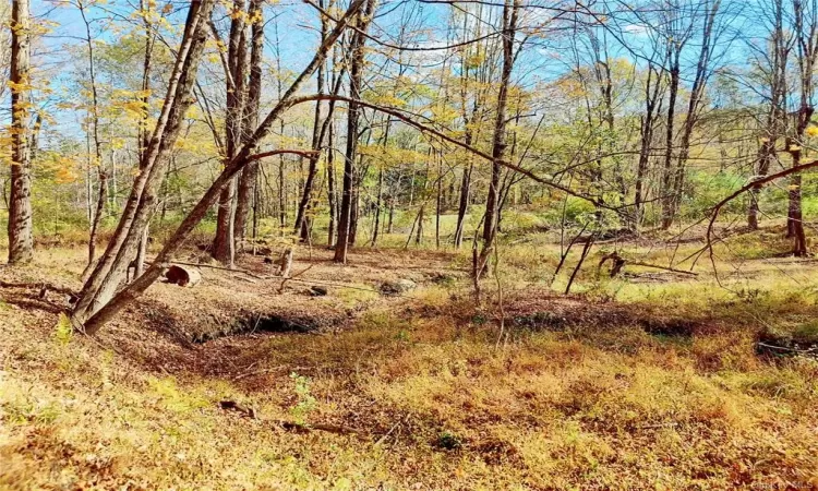 View of landscape