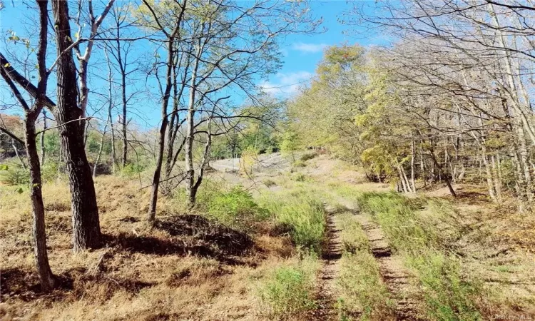 View of landscape