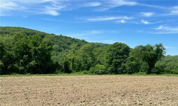 Perrys Corners Road, Amenia, NY, ,Land,For Sale,Perrys Corners,HM419993