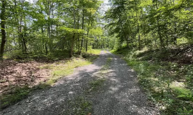 View of driveway