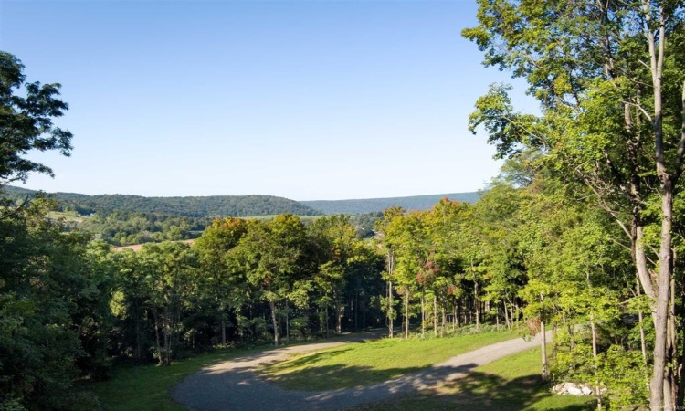 Route 83, Pine Plains, NY, ,Land,For Sale,Route 83,HM418159