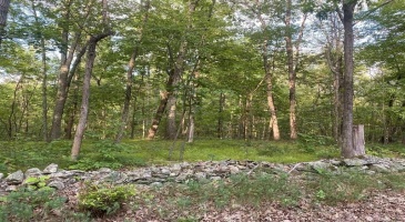 190 Ohland Road, Stanford, NY, ,Land,For Sale,Ohland,HM417756