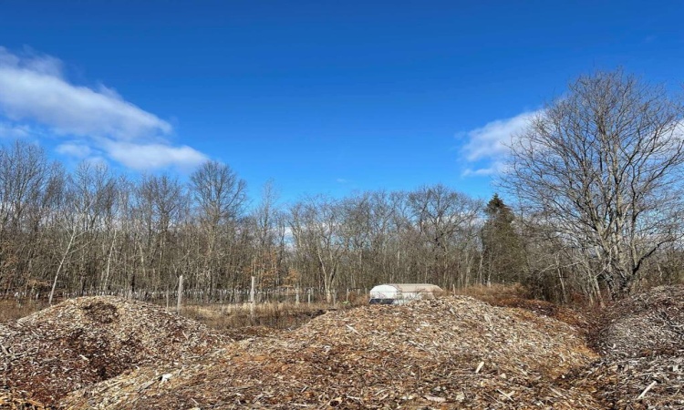 1209 Route 9G, Hyde Park, NY, ,Land,For Sale,Route 9G,HM414262