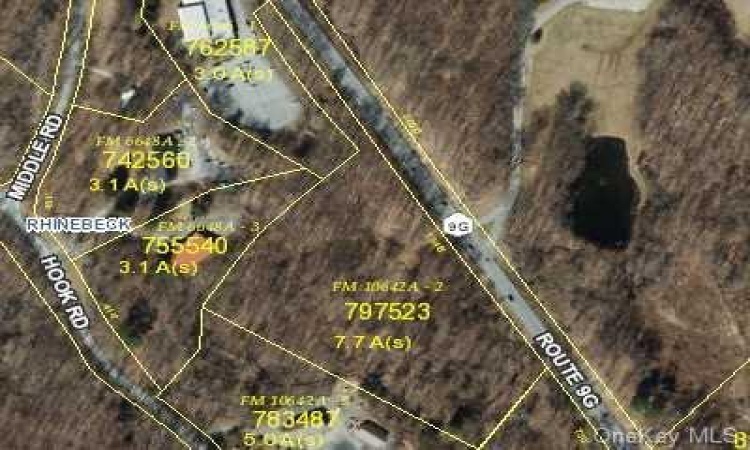 Route 9G, Rhinebeck, NY, ,Land,For Sale,Route 9G,HM414261