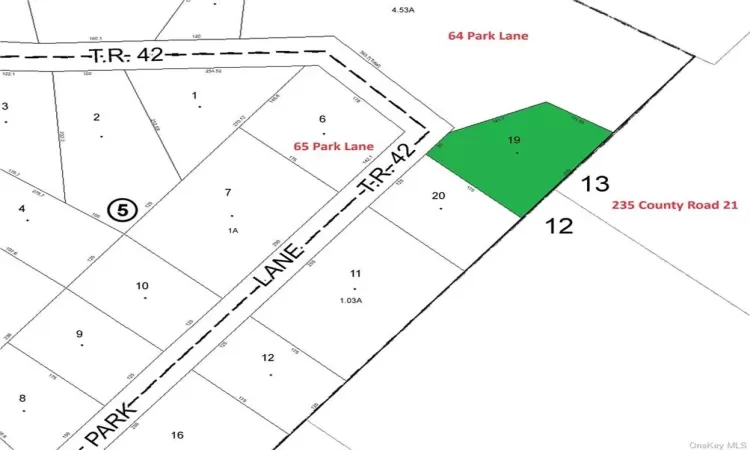 Lot 19 Park Lane, Highland, NY, ,Land,For Sale,Park,H6285867