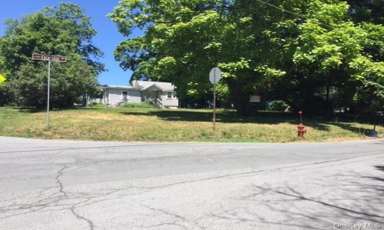 184 Excelsior Avenue, Wallkill, NY, ,Land,For Sale,Excelsior,H6288985