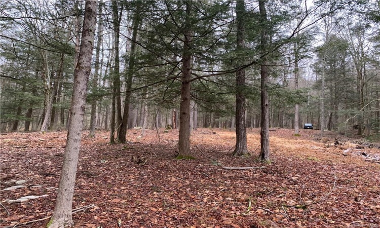 Plank Section A Road, Forestburgh, NY, ,Land,For Sale,Plank Section A,H6287041