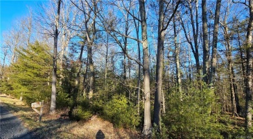 Lot 57.1 Yulan-Barryville Road, Highland, NY, ,Land,For Sale,Yulan-Barryville,H6288707