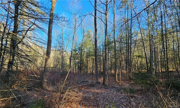 Lot 57.1 Yulan-Barryville Road, Highland, NY, ,Land,For Sale,Yulan-Barryville,H6288707