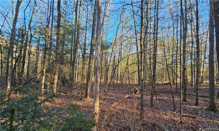 Lot 57.1 Yulan-Barryville Road, Highland, NY, ,Land,For Sale,Yulan-Barryville,H6288707